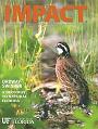 IMPACT Quail
